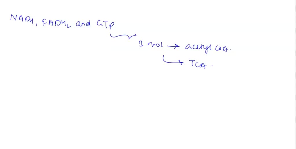 SOLVED 4. How many NADH; FADH2 and GTP can be generated for one