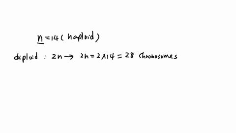 if-the-haploid-number-of-a-species-is-14-how-many-chromatids-will-there-be-in-metaphase-i-in-a-dividing-diploid-cell-a-7-b-14-c-28-d-56-38417