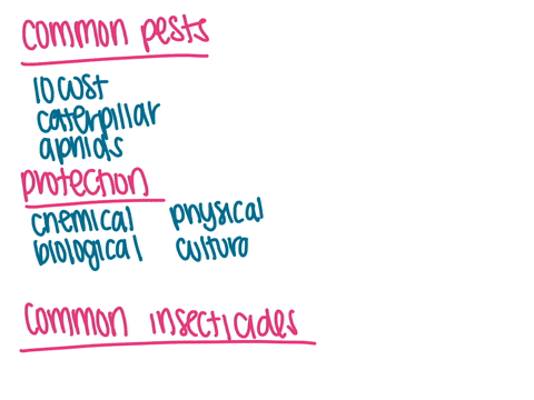 q5-there-are-animals-that-destroy-the-crop-before-it-is-harvested-farmers-find-it-difficult-to-protect-the-crops-from-these-animals-insects-and-microorganisms-provide-information-to-your-cla-42942