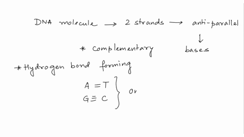 if-one-strand-of-a-dna-molecule-has-the-sequence-of-bases-5-taacgt-3-the-complementary-strand-opposite-it-would-have-the-sequencea-3-auugca-5-b-5-auugca-3c-5-acgtta-3-d-5-attgca-3-25148