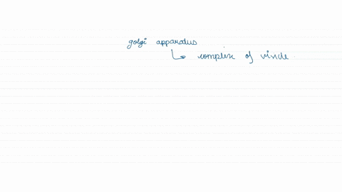 the-principal-function-of-golgi-apparatus-is-a-producing-enzymes-b-protein-synthesis-c-synthesis-of-lipids-d-packaging-materials-56816