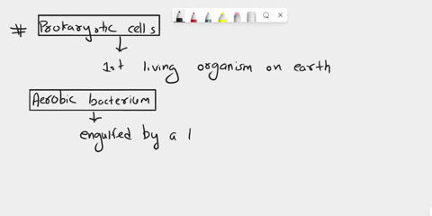 analyze-the-endosymbiont-theory-of-the-evolution-of-plant-cells-by-completing-the-sequence-chart-65515