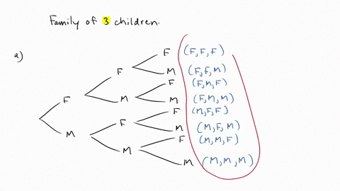 2-suppose-a-couple-wants-to-have-a-family-of-three-children-a-what-are-the-possible-outcomes-hint-draw-a-tree-diagram-2-points-b-what-is-the-probability-of-having-exactly-2-girls-in-3-births-45006