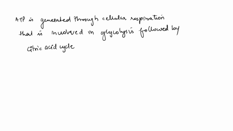 in-which-type-of-exercise-would-fat-reserves-be-used-to-create-atp-57476