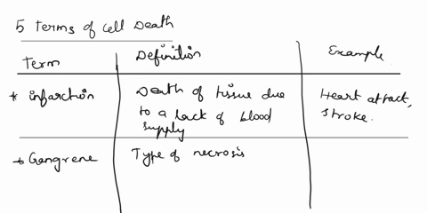 6-define-the-following-terms-ainfarction-bgangrene-cnecrosis-ddecubitus-ulcer-eapoptosis-7-lipids-ot-plasma-membrane-are-lipids-8-composition-and-functions-of-the-glycocalyx-9-difference-bet-63263