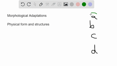 which-is-not-an-example-of-a-morphological-adaptation-a-cytochrome-c-is-similar-in-monkeys-and-human-10262