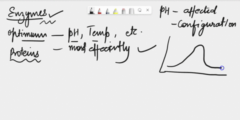 for-each-functional-group-in-exercise-2-suggest-an-amino-acid-whose-side-chain-might-be-in-the-active-site-of-an-enzyme-and-form-the-type-of-interaction-you-identified-an-enzyme-has-an-optim-93498