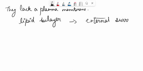 question-152-pts-which-of-the-following-statements-is-false-about-bacteria-group-of-answer-choices-they-lack-a-plasma-membrane-their-dna-is-not-enclosed-within-a-membrane-they-typically-have-81523