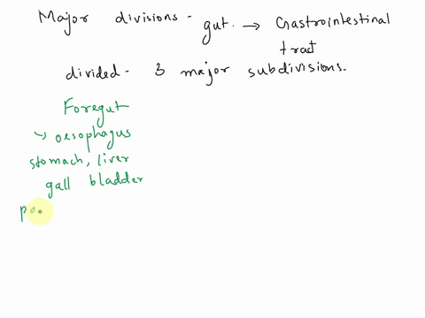 1-describe-in-detail-the-major-subdivisions-of-the-gut-tube-during-digestive-system-development-of-the-urinary-svster-thev-tbre-04292