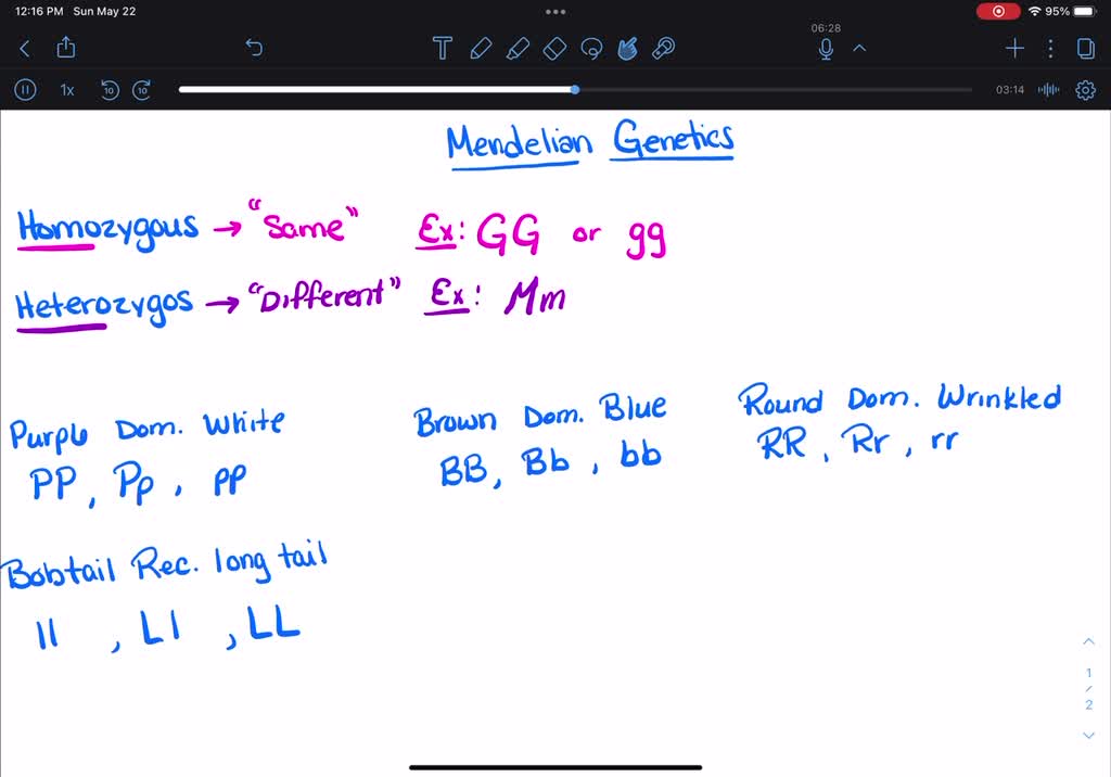solved-mendelian-genetics-activity-for-each-genotype-indicate-whether