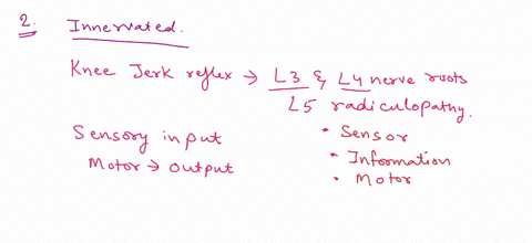 please-only-the-answer-dont-explain-1what-is-the-principal-function-of-the-thalamus-group-of-answer-choices-a-it-controls-voluntary-movement-b-it-modifies-all-motor-movement-c-it-is-the-crit-90811