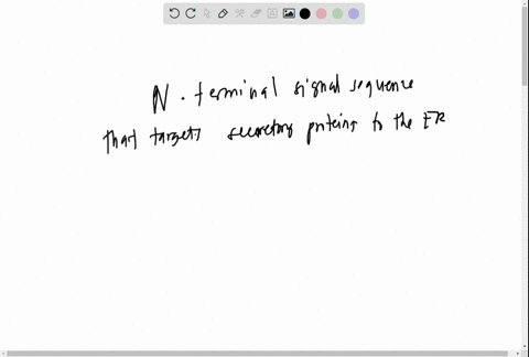 what-are-the-general-features-of-an-n-terminal-signal-sequence-that-targets-secretory-proteins-to-the-er-50893