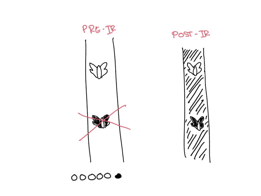 SOLVED In the classic example of pepper moth evolution in England, the