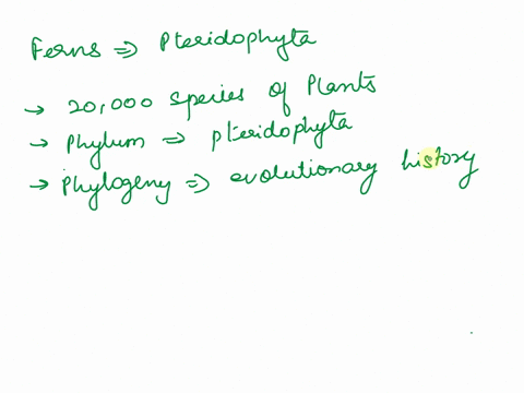 which-of-the-following-is-the-phylogenic-classification-for-ferns-26905