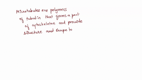 which-of-the-following-correctly-matches-a-component-of-the-cytoskeleton-to-one-of-its-functions-1-intermediate-filaments-contribute-to-cytoplasmic-streaming-2-microfilaments-form-the-nuclea-99064