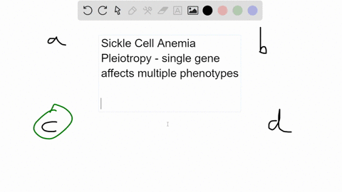 in-sickle-cell-anemia-a-single-gene-effects-more-than-one-trait-in-the-affected-individual-ie-blood-cell-shape-and-spleen-function-this-is-an-example-of-multiple-alleles-dominance-pleiotropy-65243