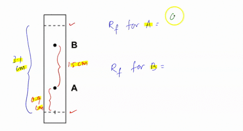 q1-for-the-following-tlc-thin-layer-chromatography-plate-answer-the-following-questions-if-spot-a-is-09-cm-from-the-baseline-and-the-distance-between-spots-a-b-is-15-cm-and-the-distance-from-12703