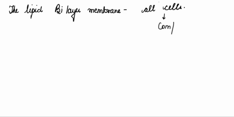 the-lipid-bi-layer-membrane-of-all-cells-is-mainly-comprised-of-e-triglyerides-c-steroids-q-phospholipids-cellulose-1-which-protein-structure-would-silk-and-other-spider-webs-be-considered-e-12556