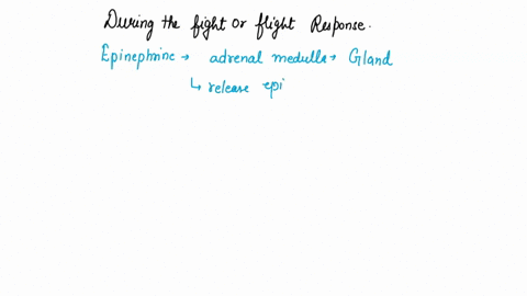 during-the-fight-or-flight-response-serotonin-acetylcholine-epinephrine-norepinephrine-is-released-from-the-adrenal-medulla-and-binds-to-m1-m2-alpha1-alpha2-beta-receptors-found-on-the-vascu-04509