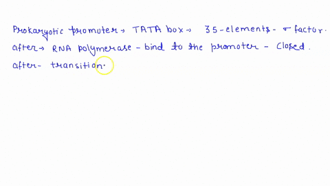 question-11-pts-which-protein-is-required-for-recognition-of-promoter-sequence-in-prokaryotes-and-which-protein-performs-a-similar-function-in-eukaryotes-orc-recognizes-the-promoter-in-proka-97597