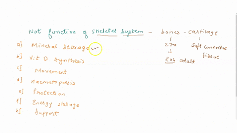 question-3-which-of-the-following-is-not-a-function-of-the-skeletal-system-mineral-storage-vitamin-d-synthesis-facilitate-movement-hematopoicsis-protcction-encrgy-storagc-support-question-4-99587