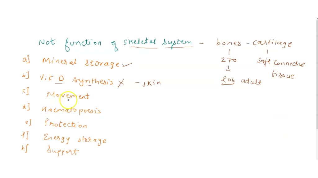 solved-question-3-which-of-the-following-isinot-a-slope-supporf