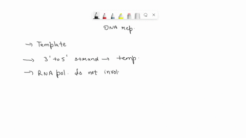 which-of-the-following-is-true-for-dna-replication-both-dna-strands-serve-as-tamplatos-to-make-new-dna-during-dna-replication-only-3-to-5-dna-strand-serves-as-template-during-dna-replication-88349