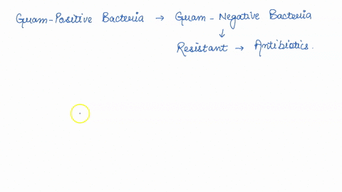 place-these-types-of-bacteria-in-order-of-their-susceptibility-to-chemical-disinfection-from-least-susceptible-to-most-susceptible-rank-the-options-below-gram-negative-bacteria-bacterial-end-60454