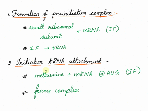 explain-the-steps-of-eukaryotic-translation-initiation-1-formation-of-preinitiation-complex-2-initiatior-trna-attachment-3-formation-of-initiation-complex-and-scanning-4-ribosome-assembly-an-52312
