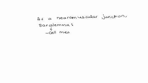at-a-neuromuscular-junction-another-name-for-the-sarcolemma-is-1-postsynaptic-membrane-2-sarcoplasmic-reticulum-3-presynaptic-membrane-4-axon-terminal