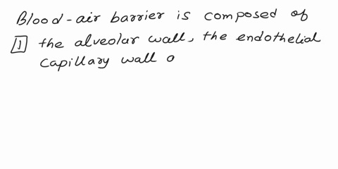 rrect-question-6-01pts-the-blood-air-barrier-is-composed-of-the-alveolar-wallthe-endothelial-capillary-walland-their-fused-basement-membrane-the-cells-found-between-the-alveolar-pores-the-fu-47723