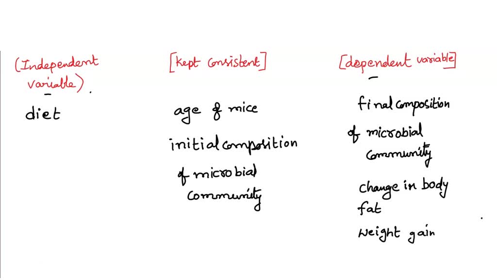 SOLVED: Identity the components of this experiment by dragging the ...