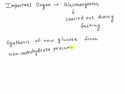 an-important-organ-in-which-gluconeogenesis-is-carried-out-during-fasting-is-a-kidney-b-brain-c-small-intestine-d-muscles