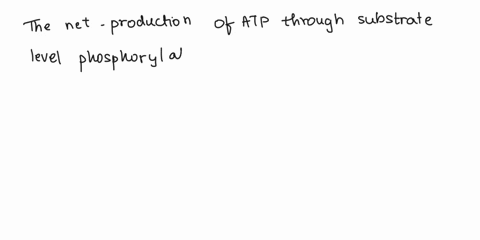 for-metabolism-what-is-the-production-of-atp-both-directly-and-through-electron-transportoxidative-phosphorylation-when-i-one-mole-of-glucose-is-converted-to-two-moles-of-pyruvate-ii-one-mol-81284