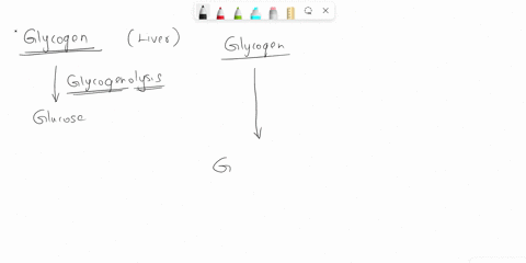 what-are-the-enzymes-involved-in-glycogen-break-down-glycogenolysis-71058