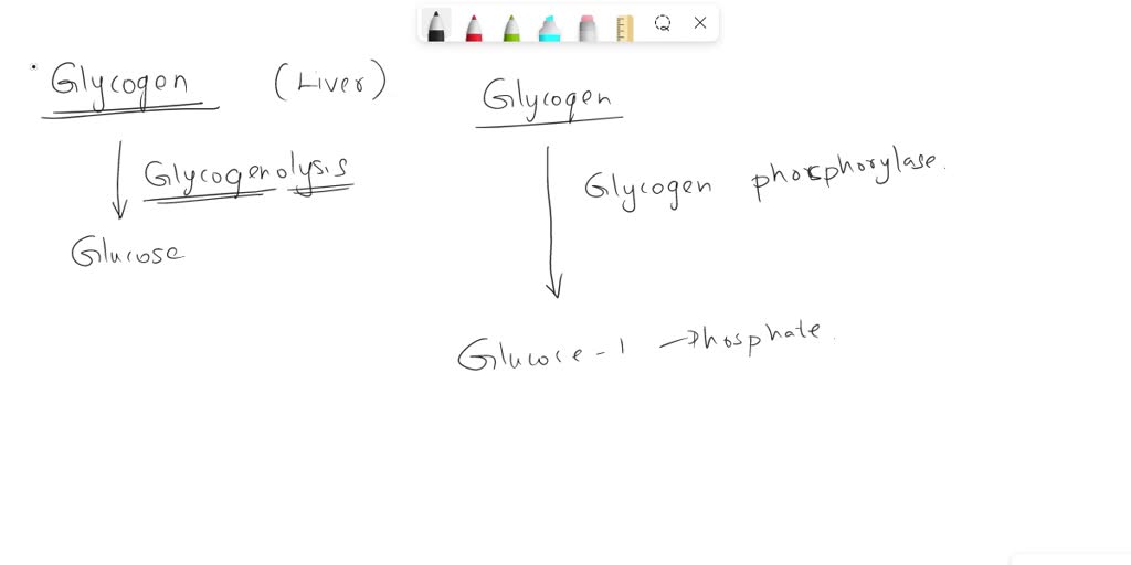 SOLVED what are the enzymes involved in glycogen break down