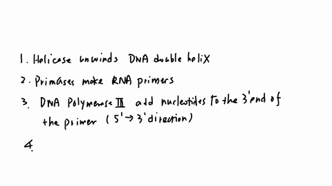 15-you-are-trying-to-replicate-the-dna-replication-process-in-your-lab-to-control-it-at-a-molecular-level-what-order-of-events-would-need-to-occur-with-the-lagging-strand-as-you-design-this-84701