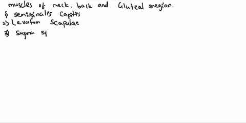 correctly-label-the-muscles-of-the-neck-back-and-gluteal-region-correctly-label-the-muscles-of-the-neck-back-and-gluteal-region-superficial-deep-gluteus-minimus-levator-scapulae-external-abd-19817