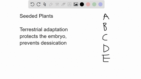 the-evolution-of-the-seed-in-plants-a-was-advantageous-because-it-provided-a-protective-structure-for-the-male-gametophyte-b-provided-these-plants-with-an-advantage-in-dispersal-across-space-33566