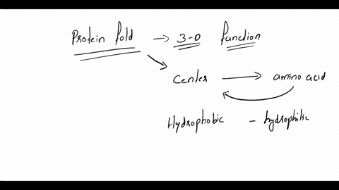 why-is-it-of-central-importance-for-protein-folding-that-some-of-the-twenty-amino-acid-side-chains-are-hydrophobic-while-others-are-hydrophilic-01666