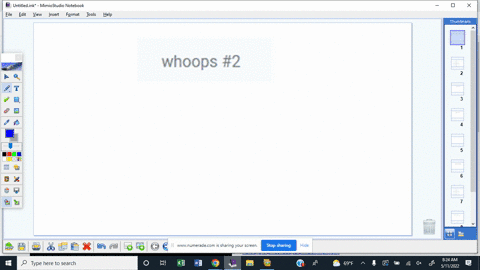 whoops-2-71302