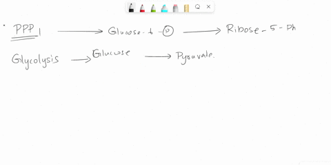 the-pentose-phosphate-pathway-represents-an-alternative-pathway-for-the-breakdown-of-glucose-briefly-describe-the-main-products-produced-by-this-pathway-and-its-biological-significance-93188