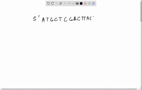 103-the-two-strands-of-duplex-dna-are-fashion-complementary-in-sequence-and-arranged-in-antiparallel-what-is-the-base-sequence-of-the-complementary-strand-to-the-following-polynucleotide-5-a-15143