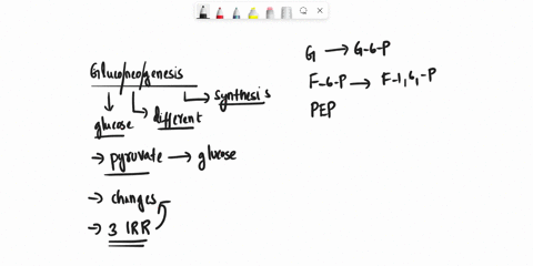 gluconeogenesis is not a reversal of glycolysis gluconeogenesis is not ...