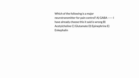 which-of-the-following-is-a-major-neurotransmitter-for-pain-control-a-gaba-i-have-already-choose-this-it-said-is-wrong-b-acetylcholine-c-glutamate-d-epinephrine-e-enkephalin