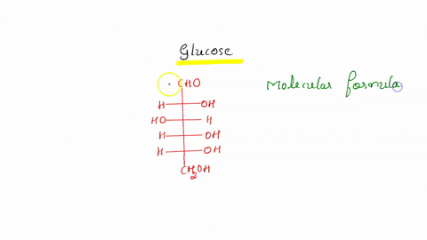 consider-the-structure-of-glucose-each-has-the-basic-molecular-formula-cnhnon-where-n-the-number-of-each-atom-record-that-formula-in-the-table-below-now-rewrite-the-molecular-formula-in-the-02152