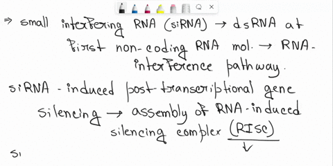 suppose-someone-designs-an-sirna-that-when-inserted-into-a-cell-line-reduces-the-production-of-a-certain-gene-how-does-the-sirna-cause-the-reduction-of-this-gene-does-it-alter-the-gene-in-an-61748