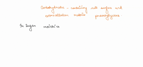 which-of-the-following-does-not-apply-for-the-carbohydrate-containing-cell-surface-and-extracellular-matrix-proteoglycans-a-the-information-held-in-the-sugar-moieties-are-encoded-directly-in-29939
