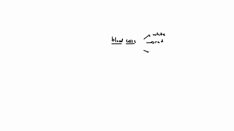 are-all-blood-cells-made-in-the-red-bone-marrow-where-do-they-go-after-they-are-created