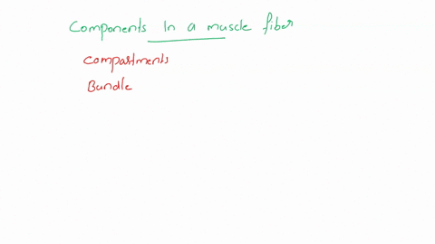 identify-components-in-the-structure-of-a-skeletal-muscle-fiber-2-what-is-responsible-for-the-striations-observed-in-microscopic-sections-of-skeletal-muscle-describe-the-types-of-myofilament-86014
